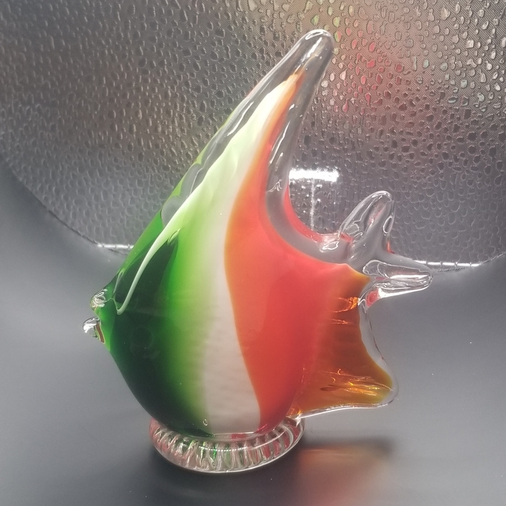 Glass fish - Picture 4 of 16